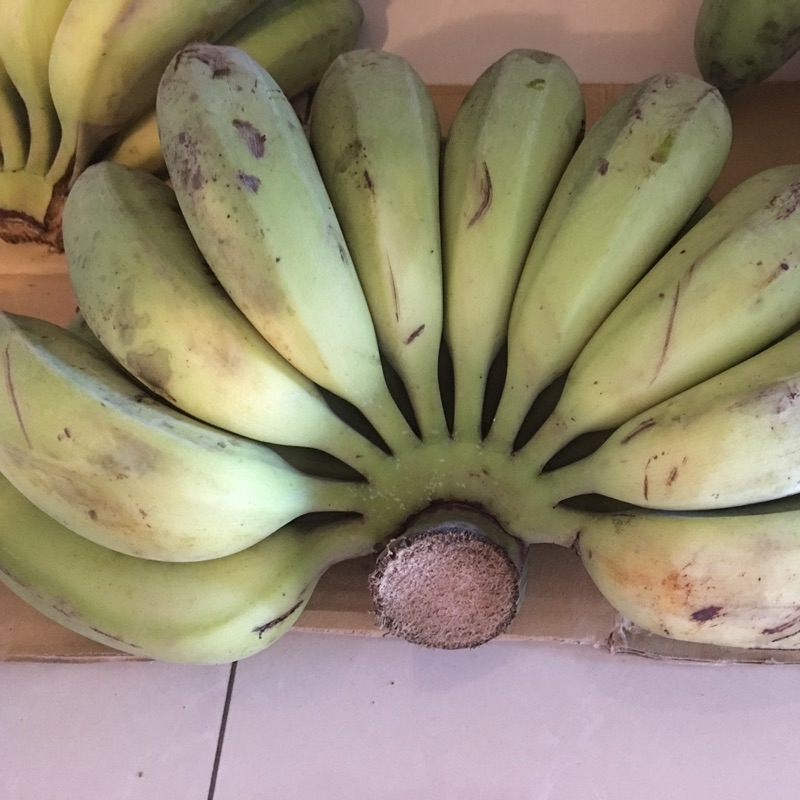 有機芭蕉 有機香蕉 無毒芭蕉 有機認證 5台斤
