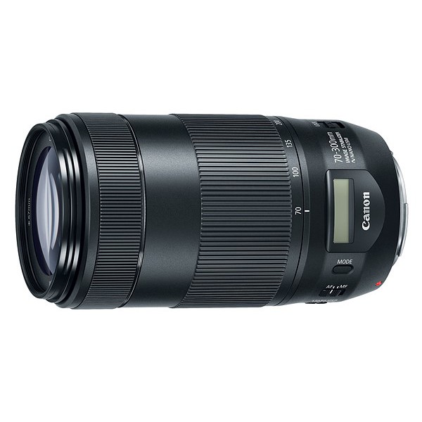 【補貨中10911】平行輸入 Canon EF 70-300 mm F4-5.6 IS II USM 二代鏡 鳥類攝影