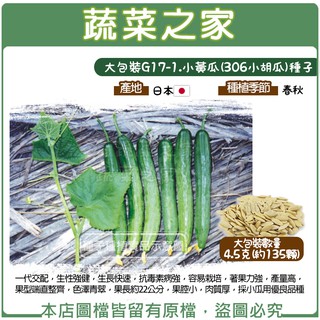 蔬菜之家滿額免運【00G17-1】大包裝.小黃瓜(306小胡瓜)種子4.5克(約135顆)//一代交配，生性強健，生長快