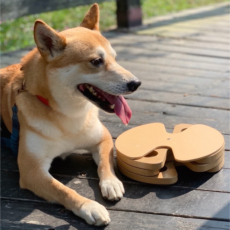 🤍預購-Advanced Dog IQ Puzzle 寵物益智嗅聞盤 進階版 木質材質 三層 18個藏食
