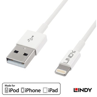 LINDY 林帝 APPLE LIGHTNING 8PIN USB傳輸線 1M 大洋國際電子