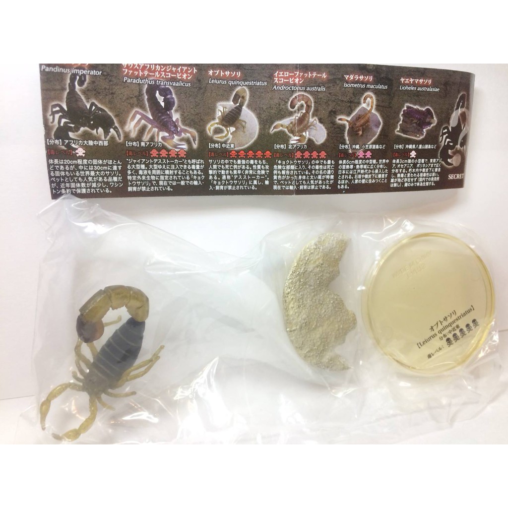 絕版品takara Tomy Arts 不思議生物大百科刺毒之侵入者毒蠍篇扭蛋轉蛋蠍子扭蛋蠍子蠍 蝦皮購物
