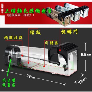 【Mr&Miss】附發票 S15 捕鼠洞 專利老鼠籠 捕鼠器 捕獸籠 捕鼠瓶 捕貓籠 捕鼠神器 老鼠夾 連續自動