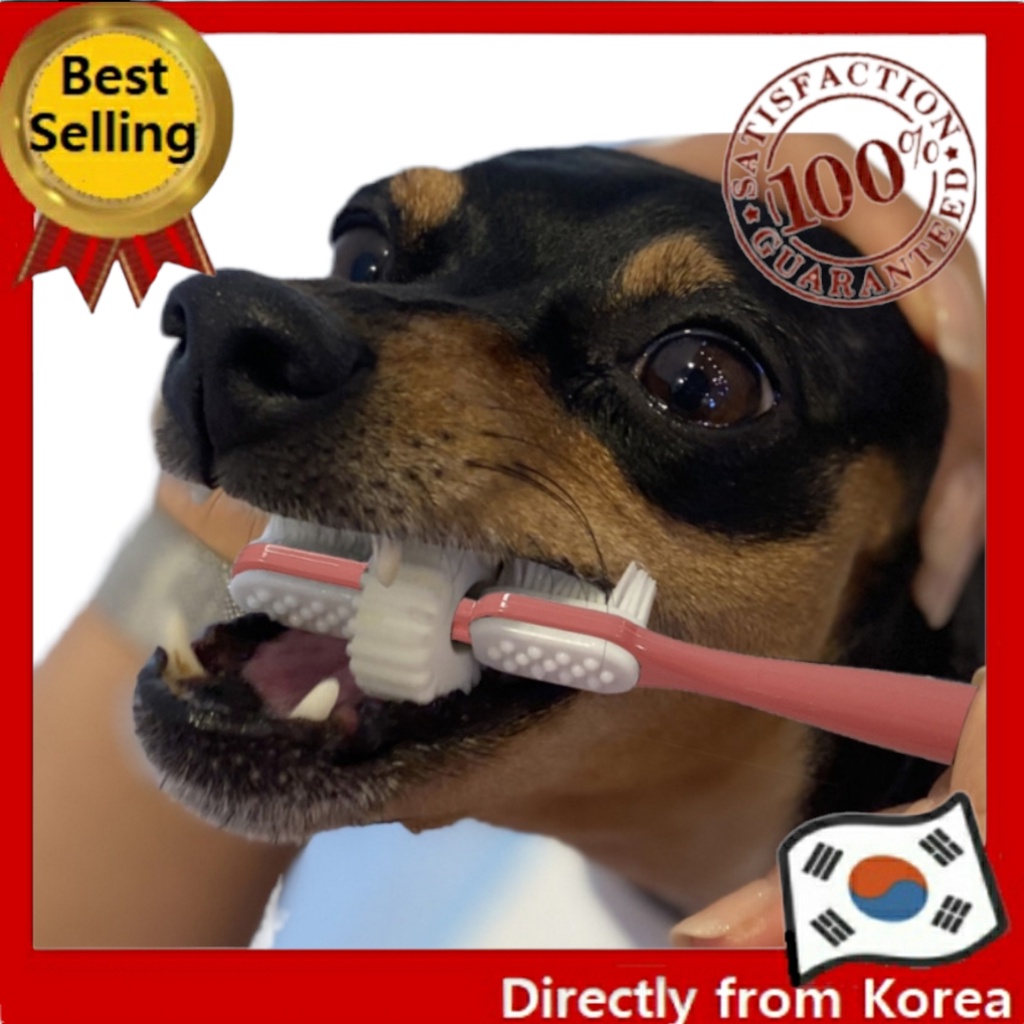 [韓國寵物] 寵物自動打開狗牙刷套裝牙齒清潔劑牙垢去除劑口腔清潔工具牙齒牙齒工具動物小狗食品狗清潔