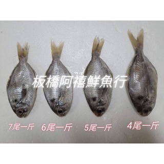 肉魚- 優惠推薦- 2021年11月 蝦皮購物台灣