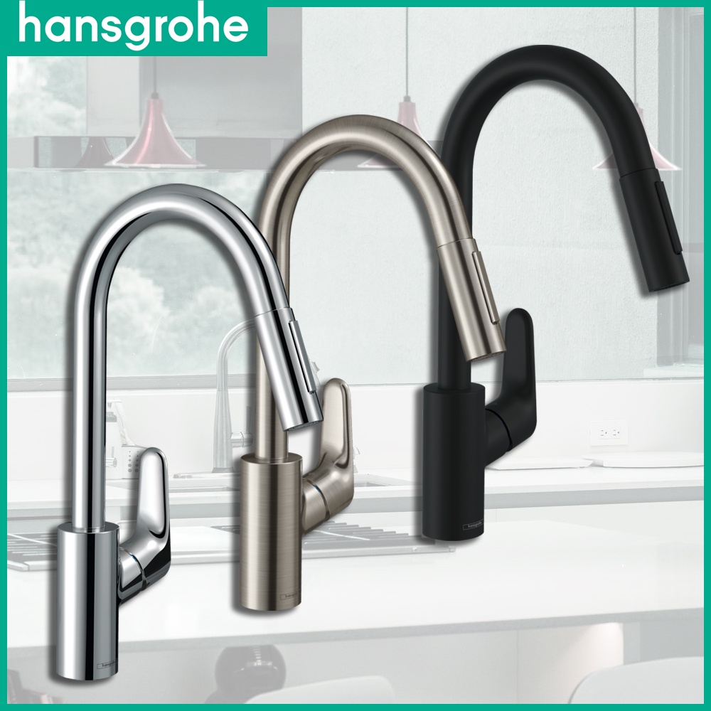 ⭐ 德國品牌 Hansgrohe 漢斯格雅 Focus 240 伸縮廚房龍頭 伸縮龍頭 兩段出水 73880 31815