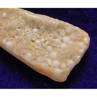 《※精品水晶※》能量至寶 - 龍宮舍利原礦墜 C180501