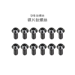 【SYB鈦螺絲】 碟片鈦螺絲 M5x10mm 12顆/組