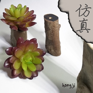 多肉 模擬多肉 微景觀 P56 假多肉植物 辦公室小物 療癒紓壓生日禮物拍照道具居家裝飾咖啡屋商店擺飾迷你木頭底座盆栽