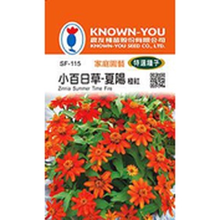 《農友種苗》特選花卉種子 SF-115 小百日草-夏陽 橙紅
