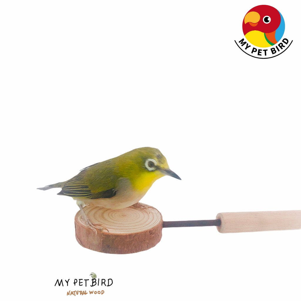 MY PET BIRD  自然綠繡眼原木迷你延伸站台 W763