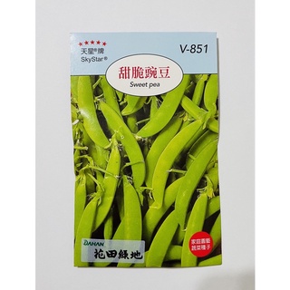 各種蔬菜種子 /1包-小白菜/茼蒿/菠菜/甜豆/青梗白菜/香菜