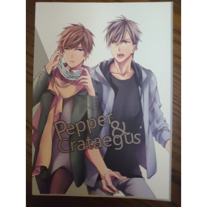 全職高手全職方王同人本同人小說本小說方士謙王杰希abo Pepper Crataegus 蝦皮購物