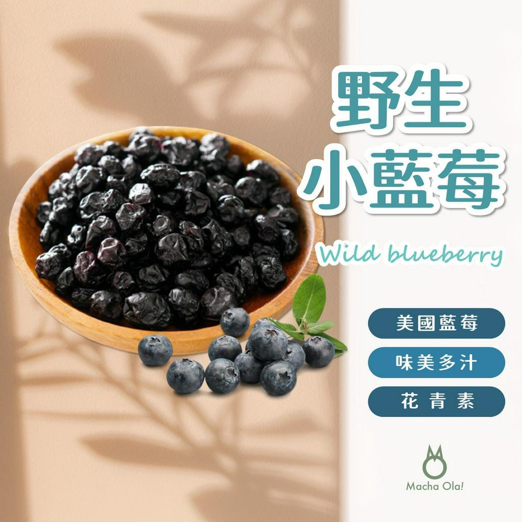 【抹茶歐拉】 野生小藍莓 小藍莓乾 美國 Graceland 野生藍莓乾 果乾 野生藍莓 藍莓乾 藍莓果乾
