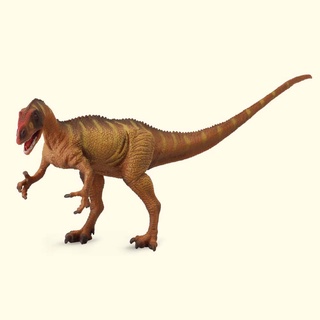 「芃芃玩具」COLLECTA 動物模型 1:40 新獵龍 模擬 教材 教學 貨號R88525