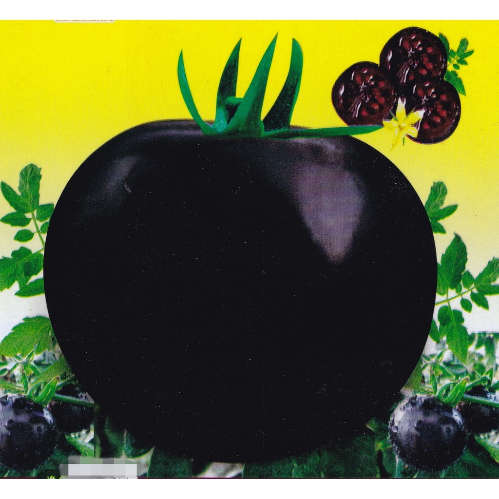 【蔬菜種子S428】大紫黑番茄~ 外觀美麗，既可食用又可以觀賞。單株結果多，酸甜可口，單果重150~200公克。