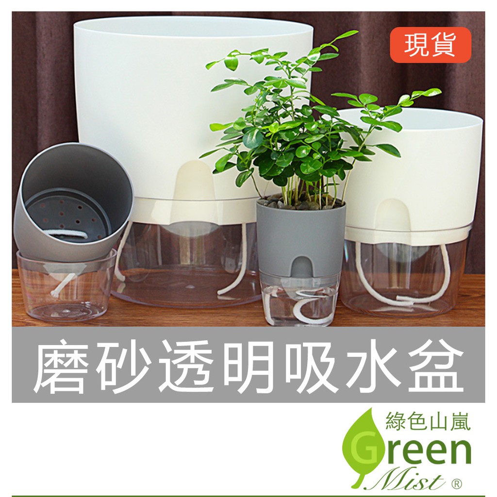 發票現貨 磨砂透明吸水盆懶人花盆透明花盆棉繩自動吸水花盆可視窗口花盆免澆水室內盆栽蓄水花盆 綠色山嵐 蝦皮購物