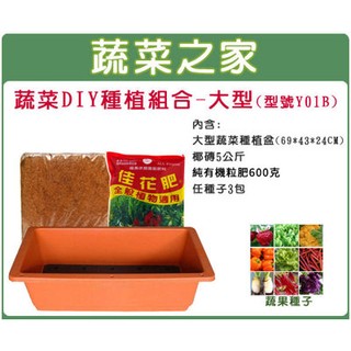【蔬菜之家滿額免運】蔬菜DIY種植組合-大型//型號Y01B(內含椰磚.種植盆.肥料.種子)種植箱 蔬菜箱