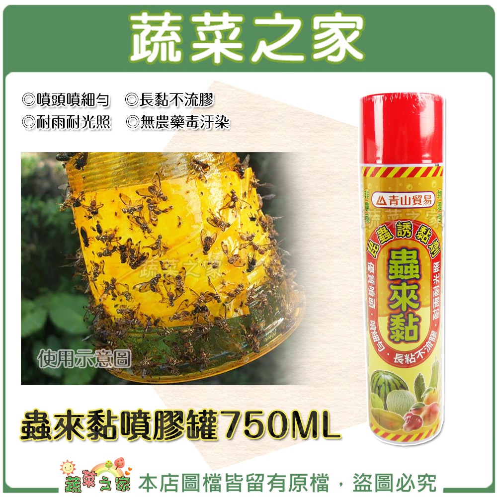 【蔬菜之家滿額免運】蟲來黏噴膠罐750ML(補蠅噴液、補蠅黏膠、果蠅黏膠) //耐雨耐光照 、無農藥毒汙