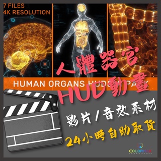 影片素材 人類器官HUD界面UI動畫 Human Organs HUD Pack.MX35204