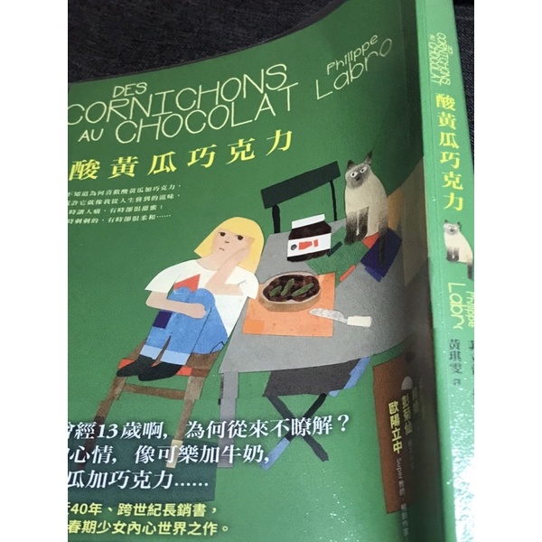 《舊冊😊新書》父母必讀《酸黃瓜巧克力》父母理解青春期兒女的好書（二手書）