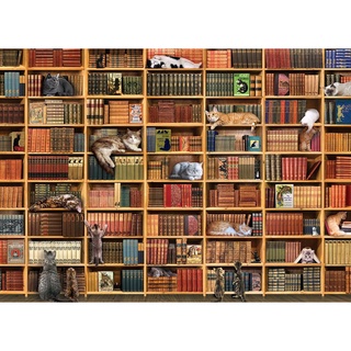 現貨 全新 Cobble Hill 拼圖 The Cat Library 貓咪圖書館 書店 書架 1000片