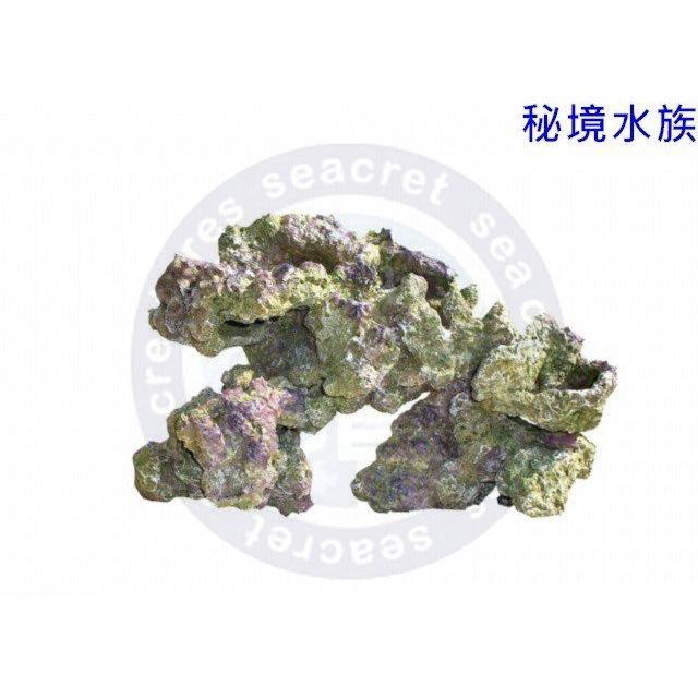 ♋ 秘境水族 ♋【美國CORAL REEF】珊瑚礁 人工活石 假活石 仿真活石 裝飾 繁殖 人工珊瑚