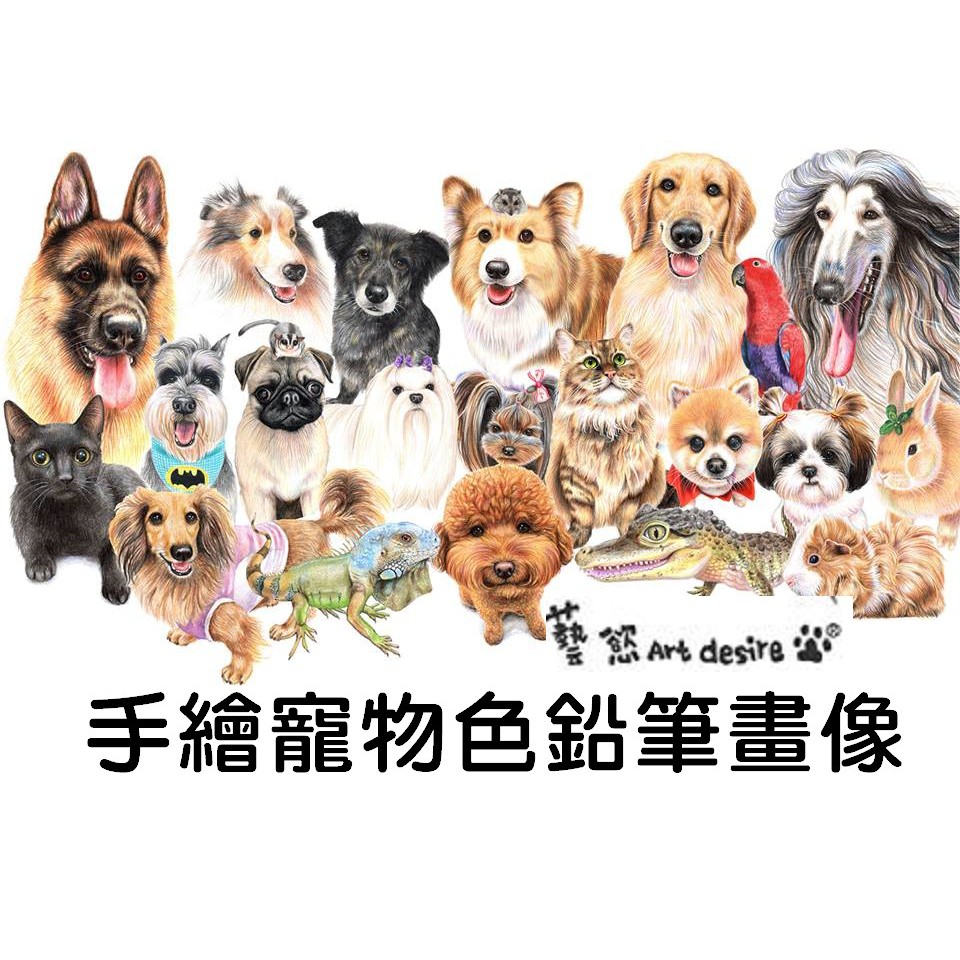 客製化手繪寵物色鉛筆畫像狗畫像貓犬logo設計愛犬照片成q版畫像 蝦皮購物