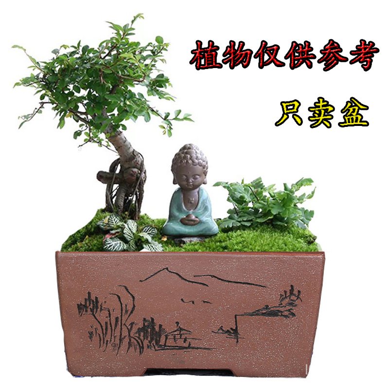 【優品工藝 | 紫砂花盆】手工長方形文竹 榕樹 樹樁 盆景盆 特大多肉紫砂花盆