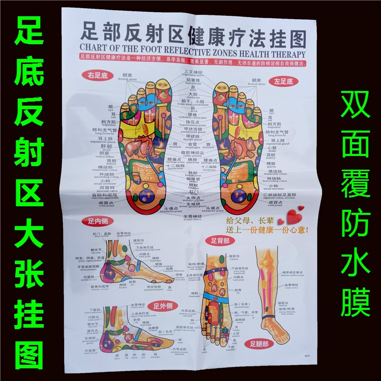 庫尚宅品 高清足圖足底穴位圖足部反射區健康療法掛圖腳底穴位足療圖防水 蝦皮購物