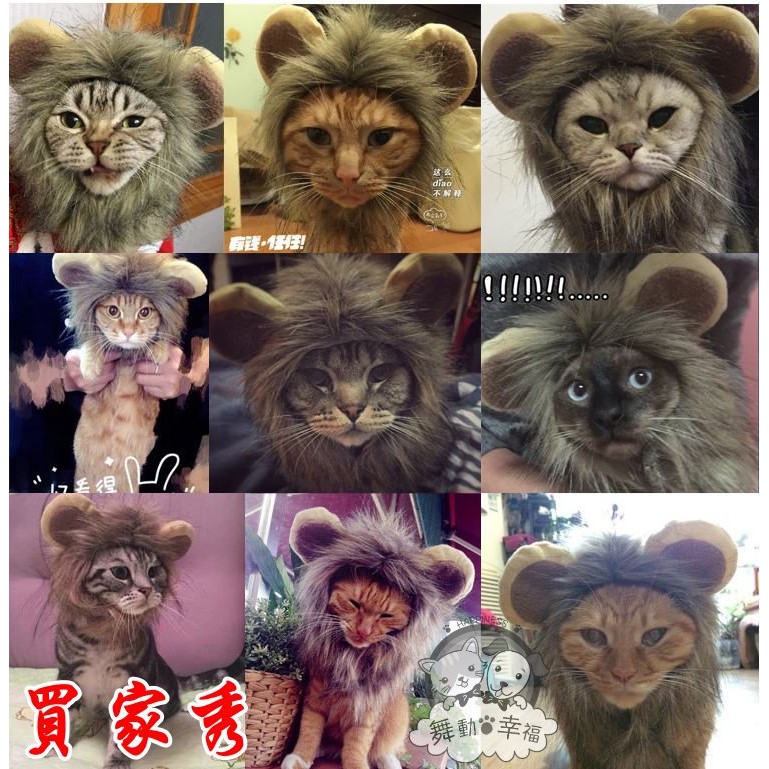 台灣出貨 速度快!! 獅子頭套 頭套 獅子裝 寵物頭套 造型 寵物造型 *舞動幸福*