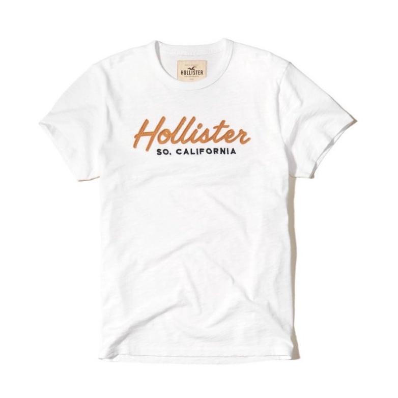 Hollister 男性短袖T shirt/T恤