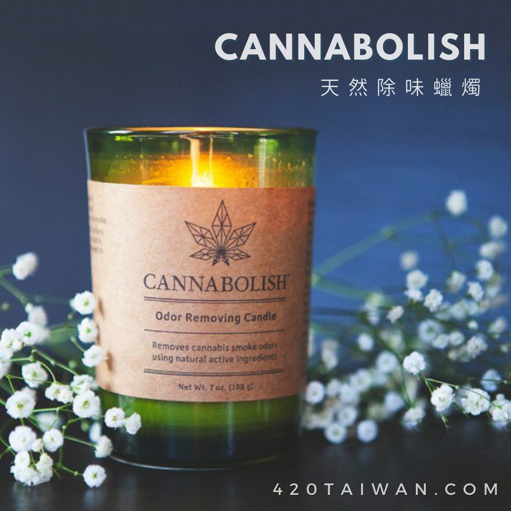 成分天然去除異味 Cannabolish 大麻天然空間除味蠟燭 蝦皮購物