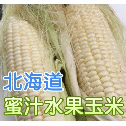 【全館590免運】北海道「蜜汁」水果玉米"種子" 約10粒
