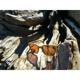 Maple Sól 1 Wood Sunglasses 木製 墨鏡 環保 竹子 鏡框