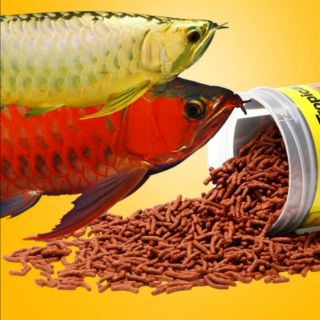 【鑫林水族】波蘭德比克TROPICAL龍魚.中大型魚成長飼料1000ml（大,小粒） 增艷飼料，龍魚，花羅漢，血鸚鵡