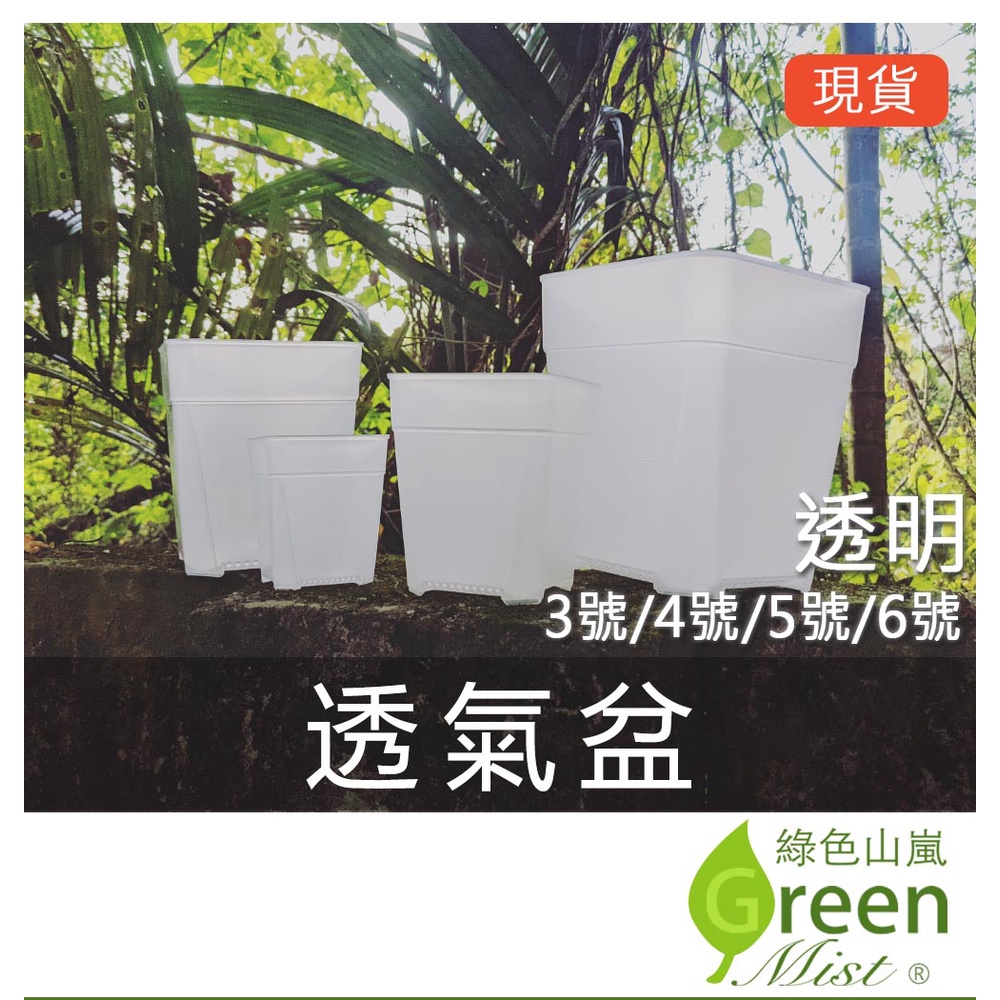 發票現貨 透氣盆 透明款 透明花盆多肉花盆花盆四方盆透氣加高塑膠花盆觀葉植物 綠色山嵐 蝦皮購物