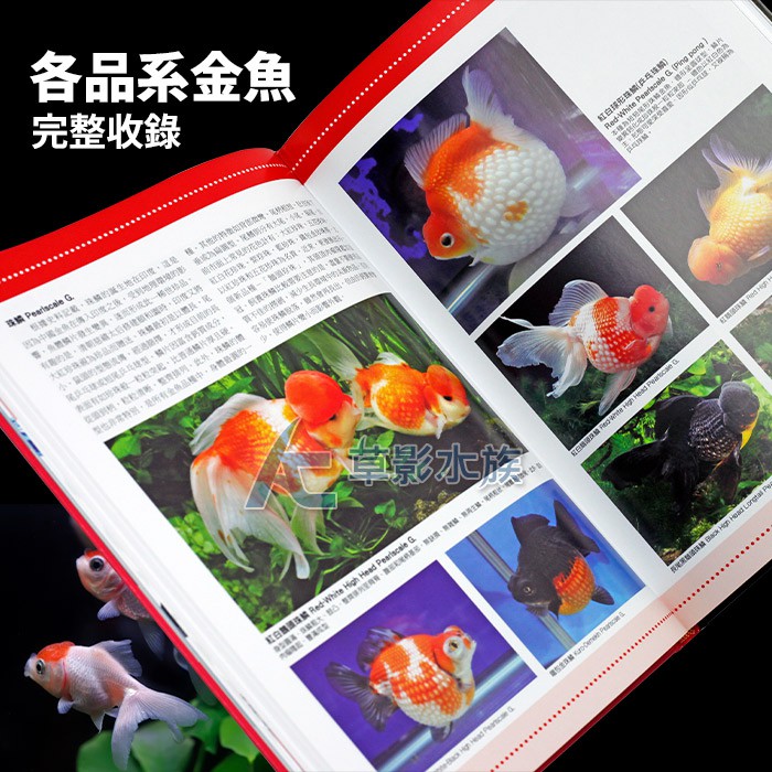 Ac草影 Aquanet 19 繽紛金魚事典 一本 Bta 蝦皮購物