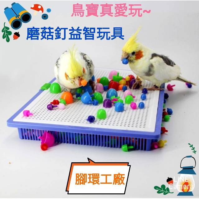 鸚鵡益智玩具~鸚鵡蘑菇釘玩具/鳥寶益智玩具~拼出可愛圖案的好玩~啃咬小玩具