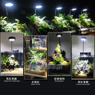 【AC草影】微型植物生態 照明燈具組（9W）【一個】生態瓶照明燈 佗草燈具組 苔蘚造景燈 兩棲燈
