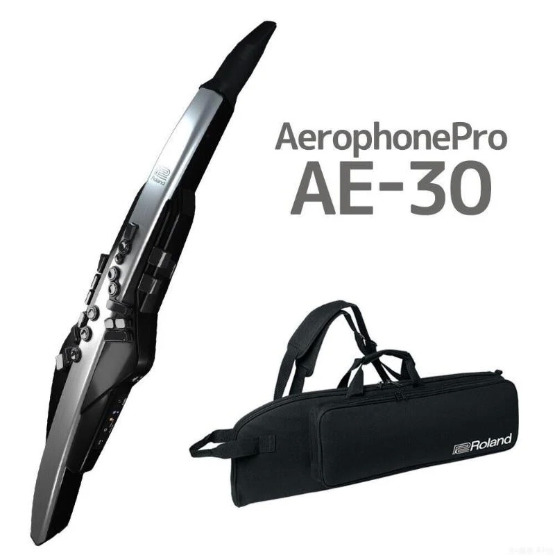 Roland AE-30 Aerophone Pro 電子吹管 電子長笛/薩克斯風 AE30 零卡分期免運 [唐尼樂器]