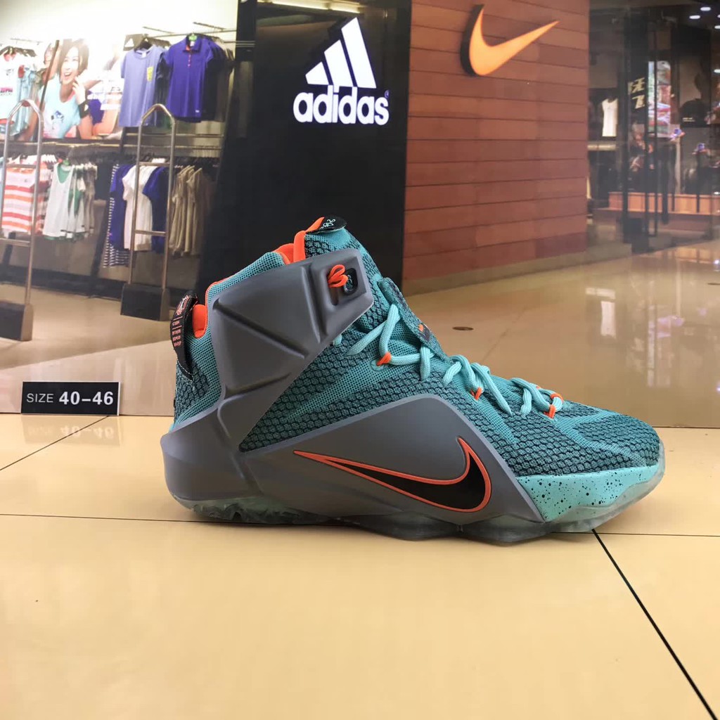 nike lebron james xii
