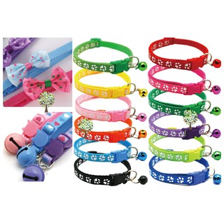 岩合光昭貓 日本動物攝影師岩合光昭以 貓 為主題收錄的精華作品集 蝦皮購物