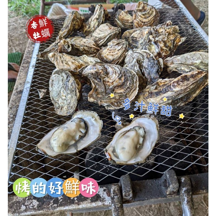杏鮮帶殼牡蠣生蠔一斤85元新鮮現撈品質保證錯過可惜