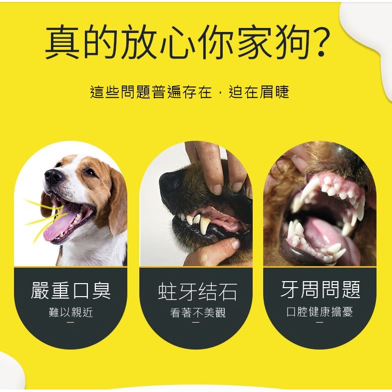 【現貨】牙結石去除器  寵物 牙垢清潔工具 牙結石清除棒 狗牙結石 牙垢棒  潔牙器 寵物刮牙器 快速寄出