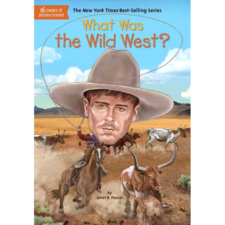 What Was the Wild West?