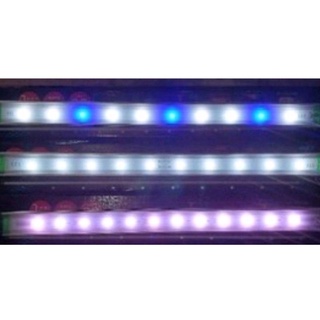 雅柏T系列小跨燈 (太陽燈/增豔燈/藍白燈)（30cm/36cm/45cm/60cm）多功能燈架 跨燈 LED燈