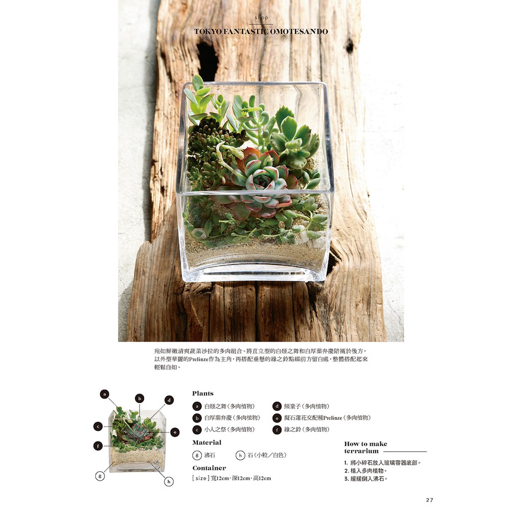 玻璃瓶中的植物星球 以苔蘚 空氣鳳梨 多肉 觀葉植物打造微景觀生態花園 蝦皮購物