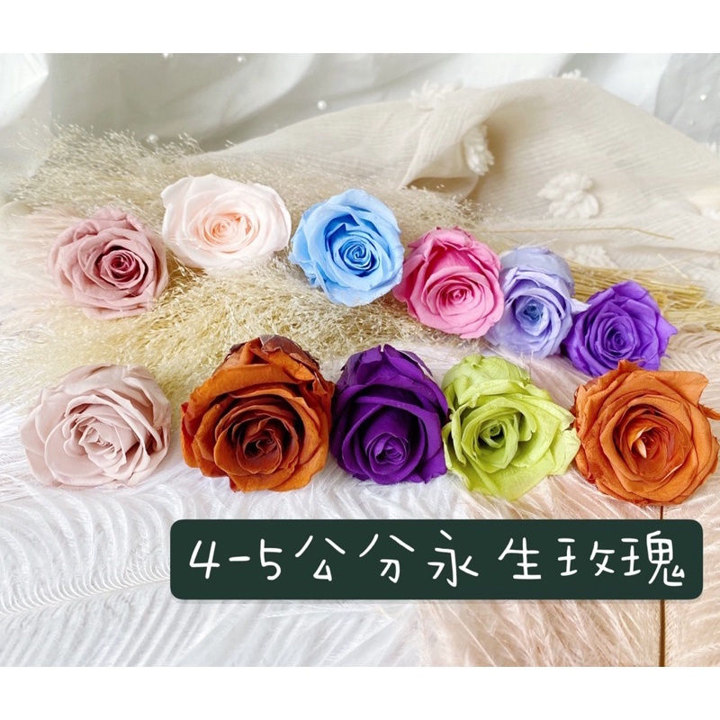 玫瑰花盅 優惠推薦 22年6月 蝦皮購物台灣
