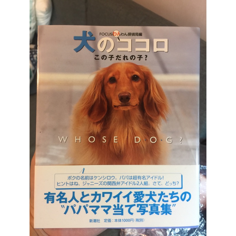 Kinki Kids 近畿小子堂本剛健四郎絕版犬のココロ 蝦皮購物